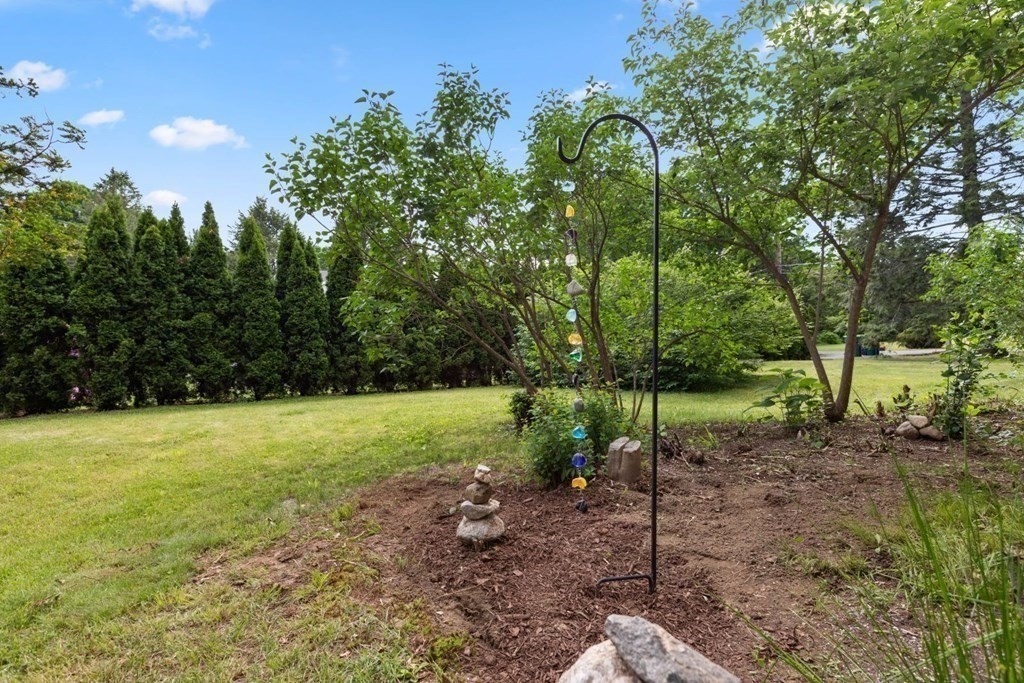264 Lincoln Road Lincoln, MA 01773 - Photo 24 of 31 a view of a yard with a tree