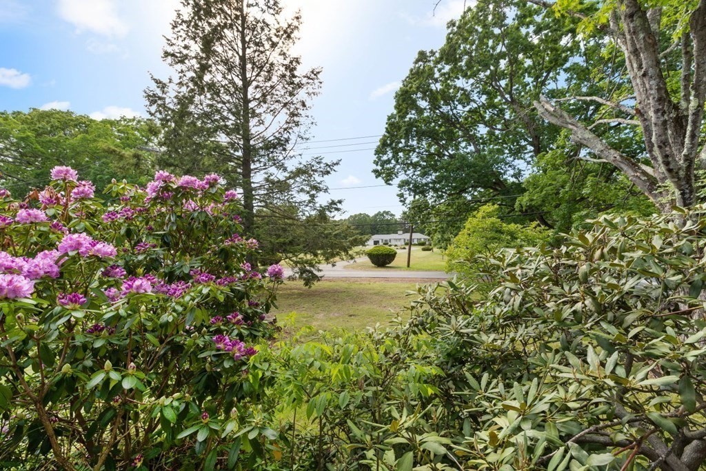 264 Lincoln Road Lincoln, MA 01773 - Photo 5 of 31 a flower garden with a flower garden