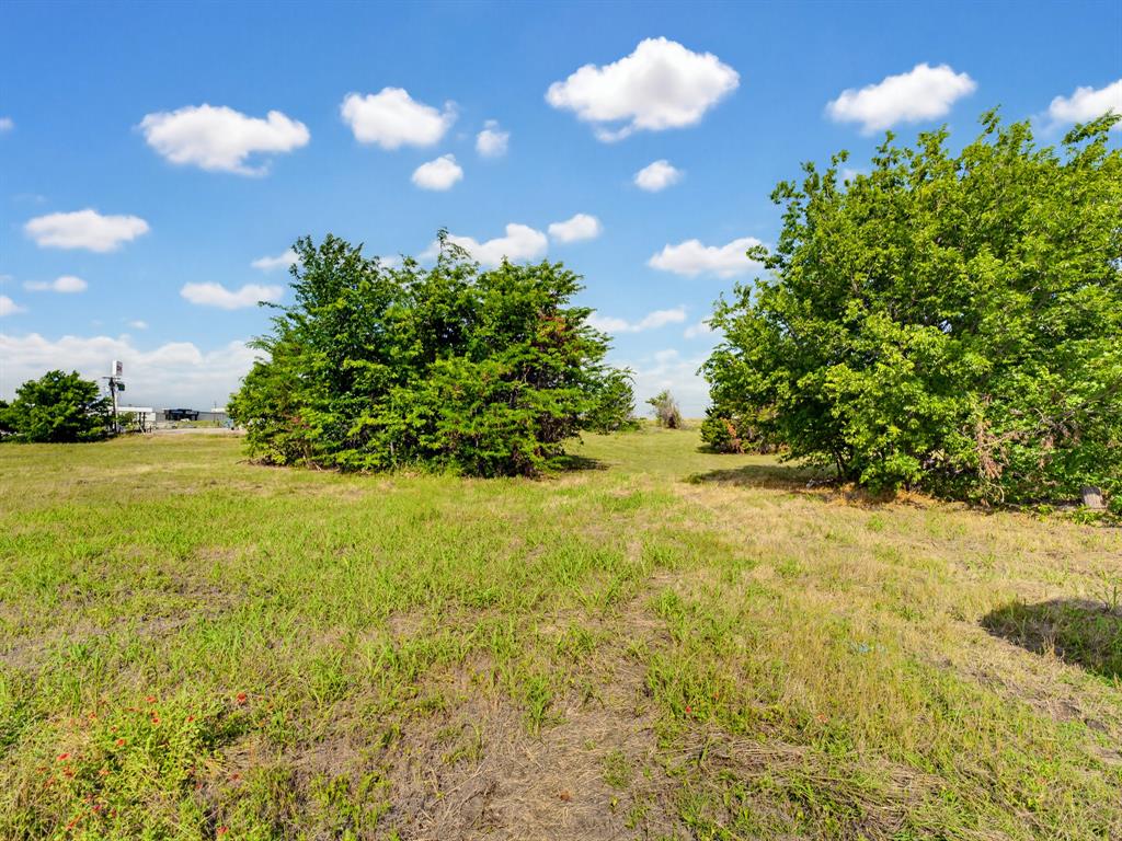 1300 South Trenchard Street Decatur, TX 76234 - Photo 22 of 40 a view of a big yard with swimming pool and green space