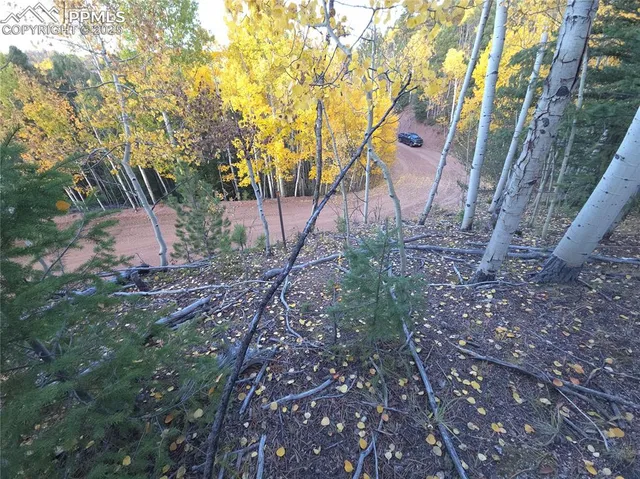 a view of outdoor space and yard