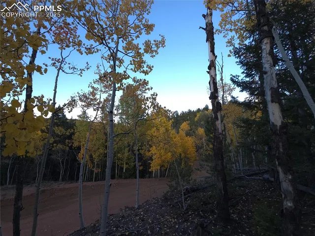 a view of a house with a forest