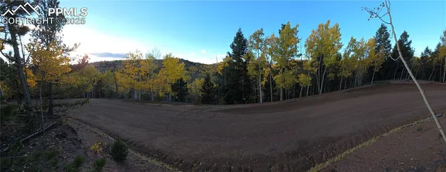 a view of a backyard