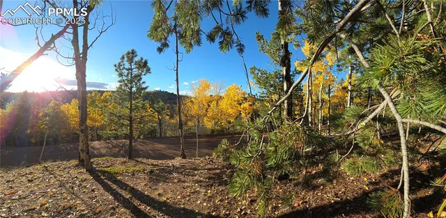 a view of outdoor space and yard
