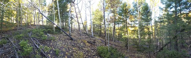 $77,000 | 899 Little Topsey Drive, Cripple Creek, CO 80813