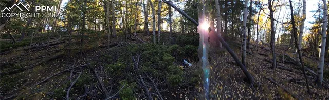 $77,000 | 899 Little Topsey Drive, Cripple Creek, CO 80813