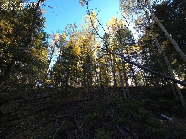 $77,000 | 899 Little Topsey Drive, Cripple Creek, CO 80813