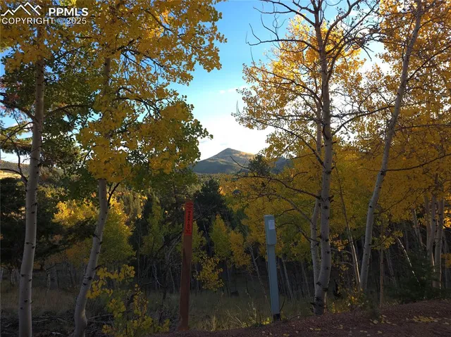 a view of city and mountain