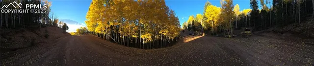 a view of outdoor space with garden