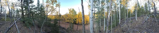 a view of outdoor space and garden