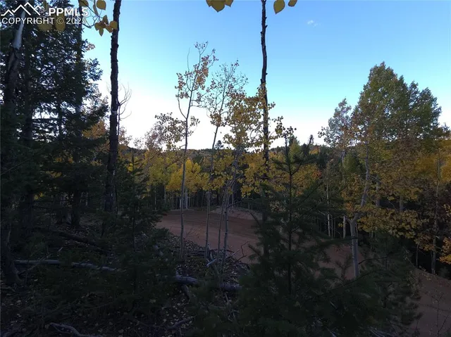 a view of outdoor space and garden