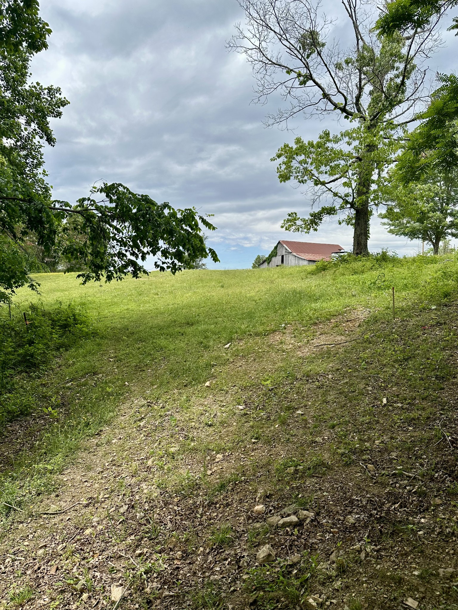 0 Hall Road Greenbrier, TN 37073 - Photo 6 of 28 a view of a garden with an trees