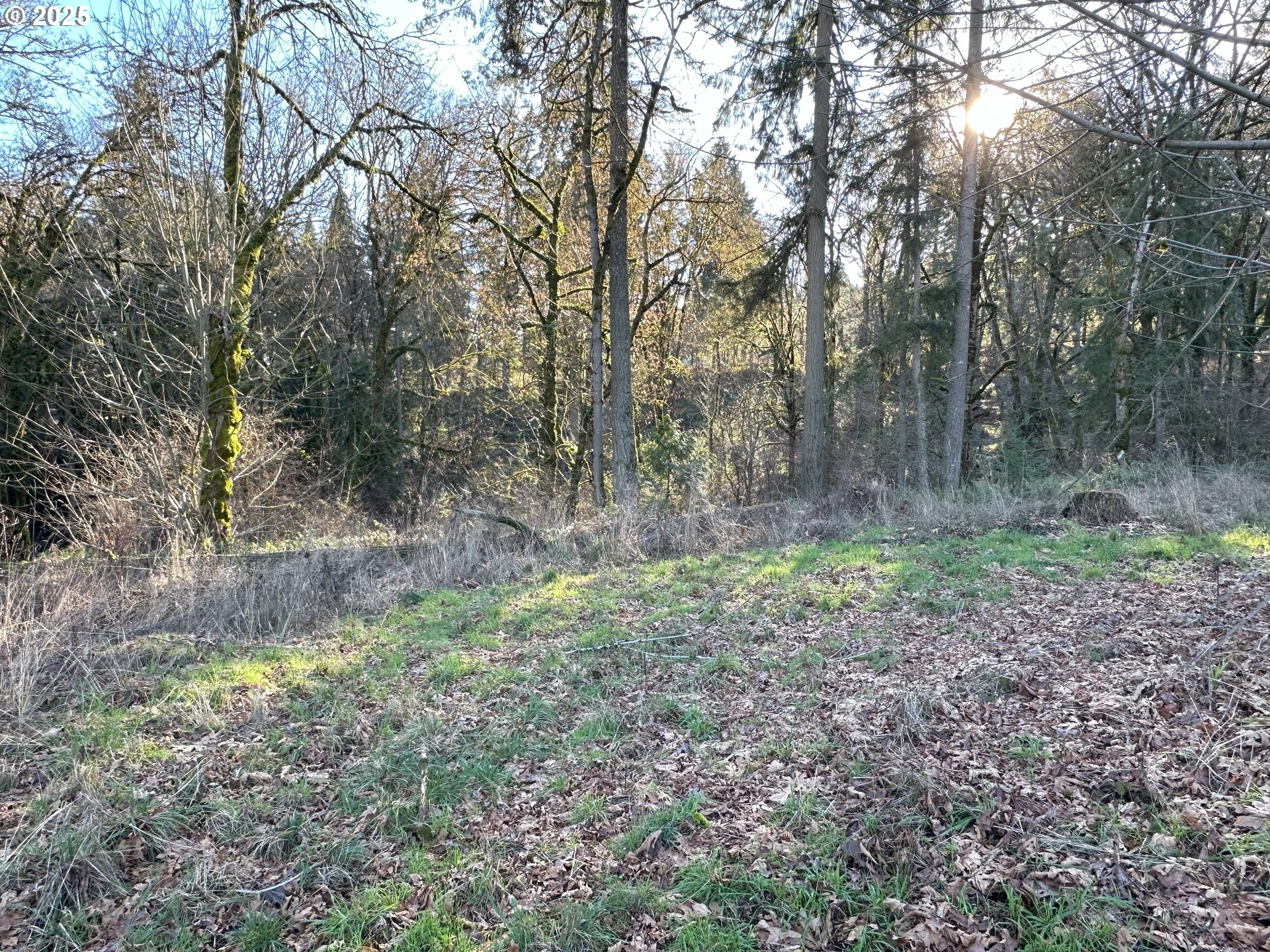 21487 Southwest Kruger Road Sherwood, OR 97140 - Photo 13 of 15 a view of outdoor space and green space