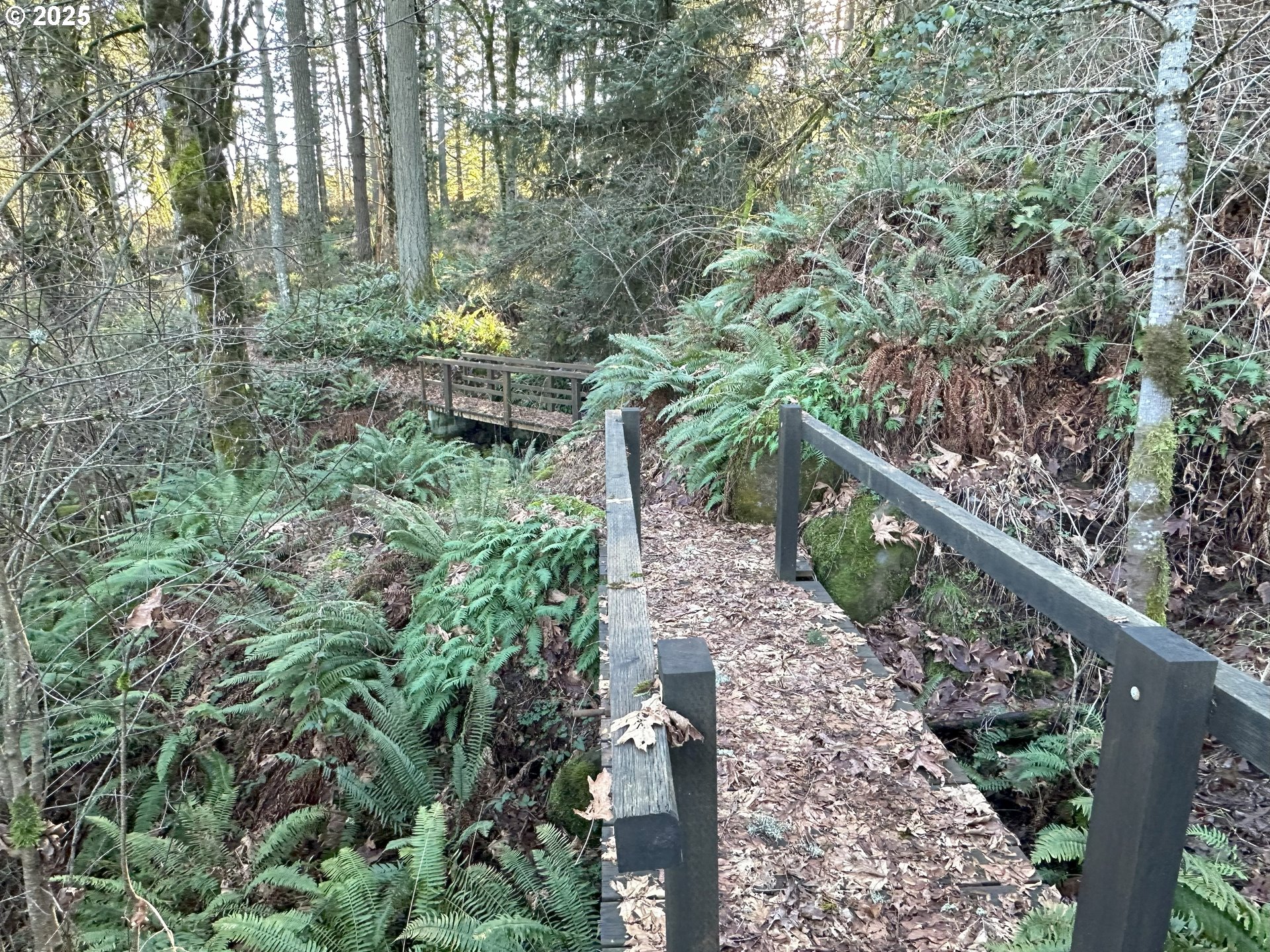 21487 Southwest Kruger Road Sherwood, OR 97140 - Photo 6 of 15 a view of a garden with large trees