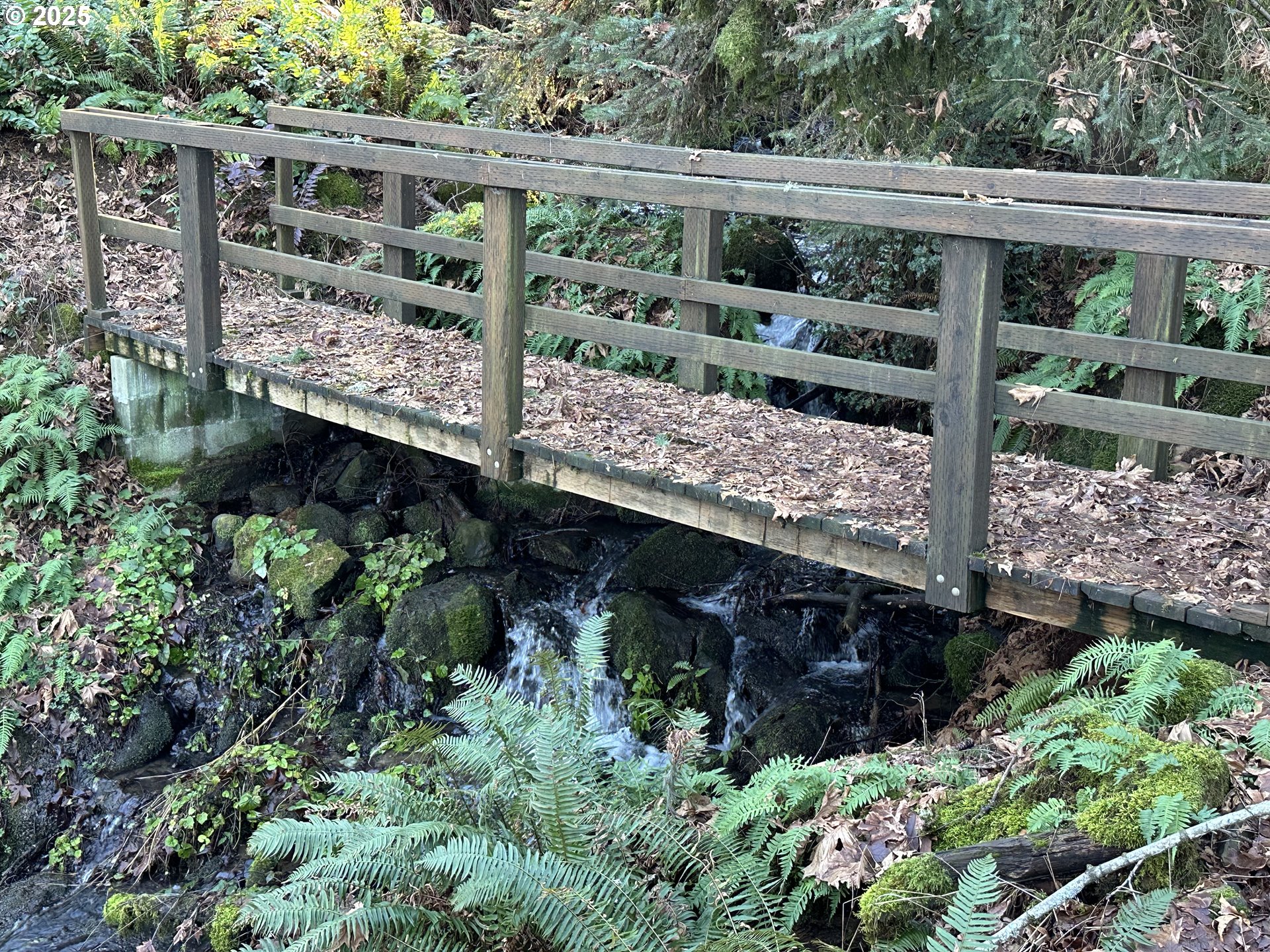 21487 Southwest Kruger Road Sherwood, OR 97140 - Photo 7 of 15 a view of a backyard