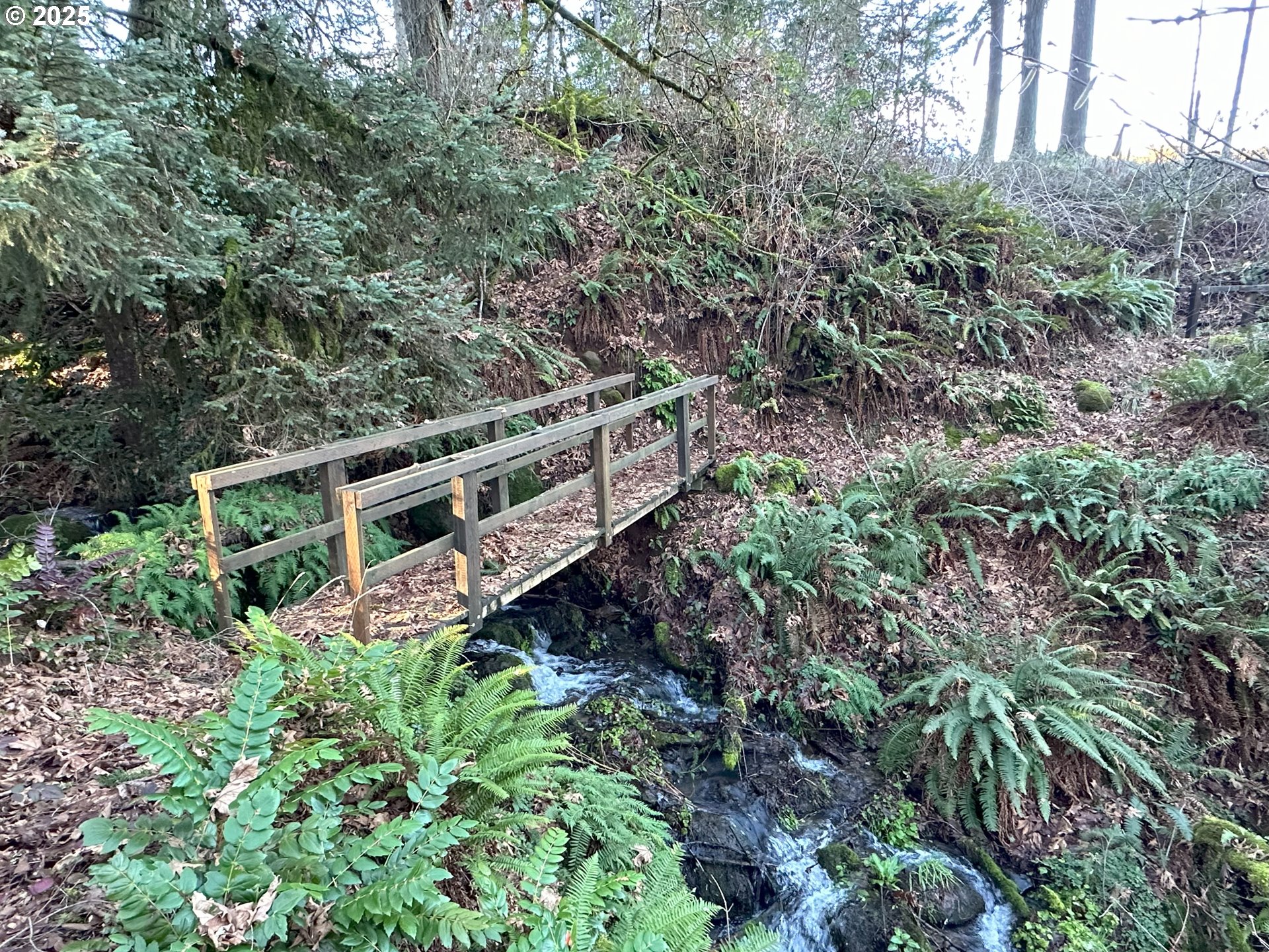 21487 Southwest Kruger Road Sherwood, OR 97140 - Photo 9 of 15 a view of a house with a yard