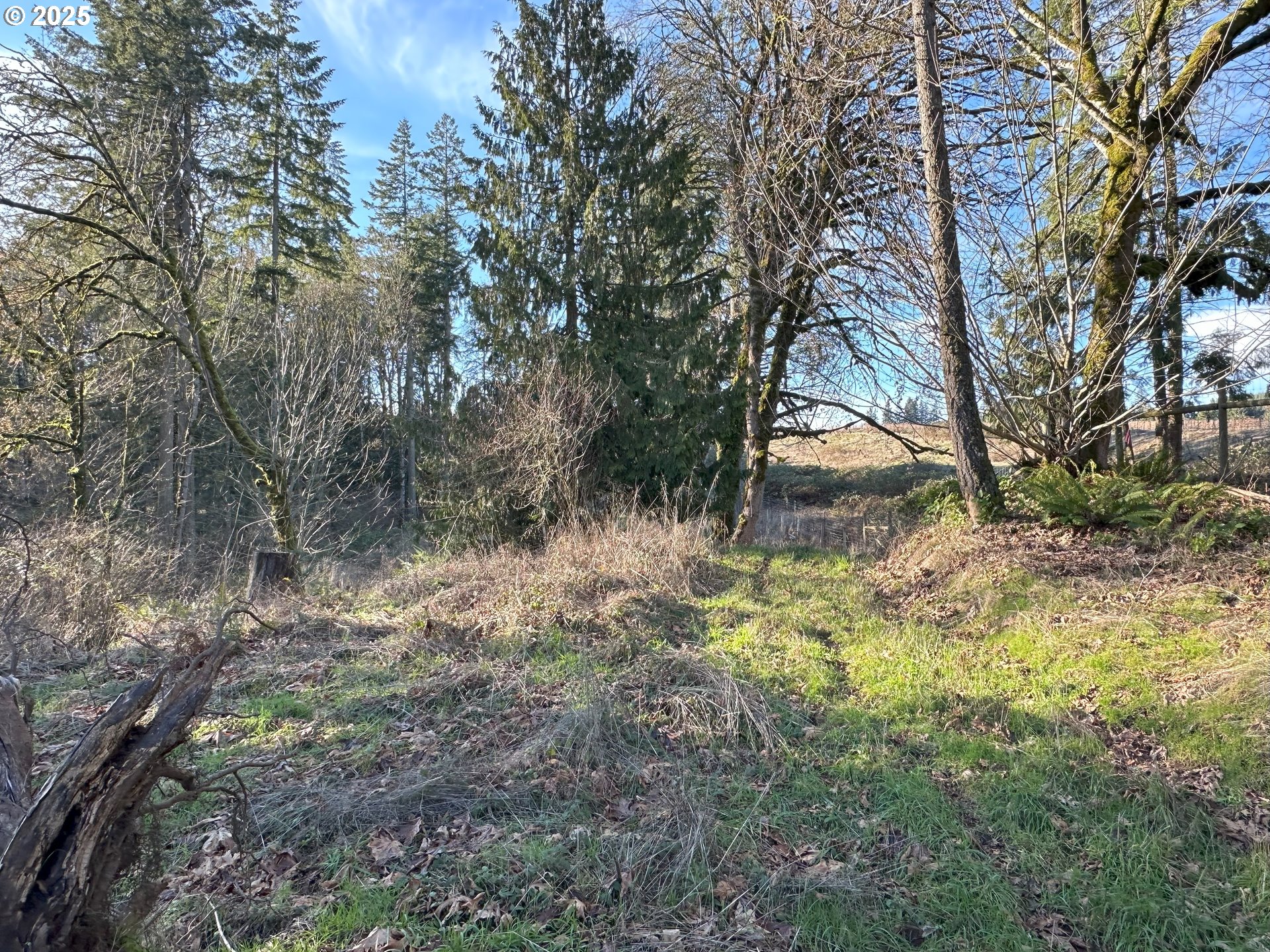 21487 Southwest Kruger Road Sherwood, OR 97140 - Photo 10 of 15 a backyard of a house with lots of green space