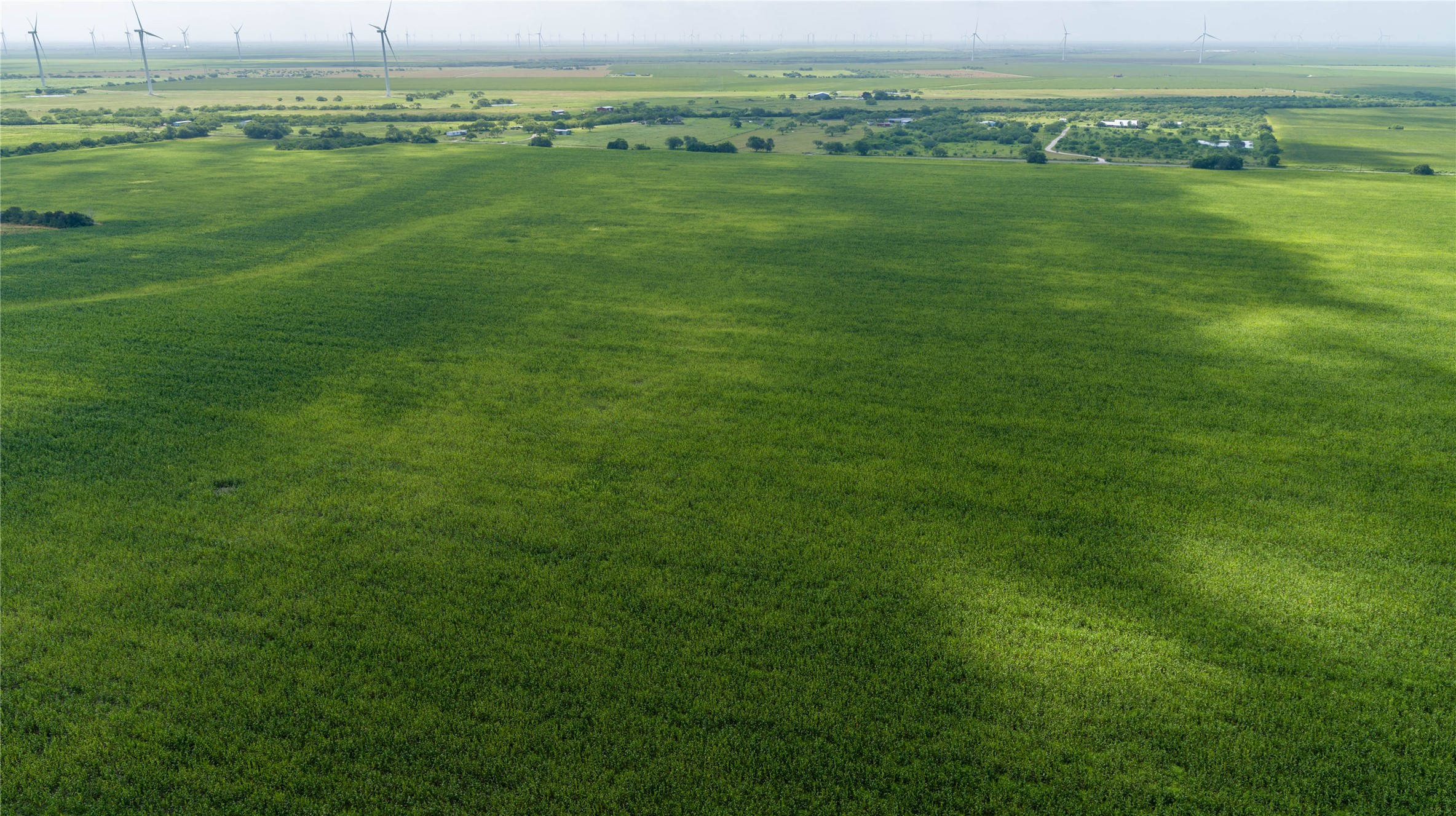 888 St Mathis Tx 78368 Mathis, TX 78368 - Photo 13 of 19