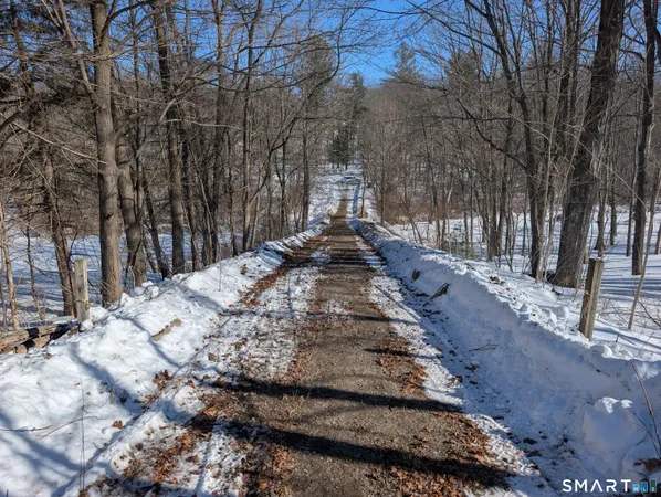a view of a yard with trees