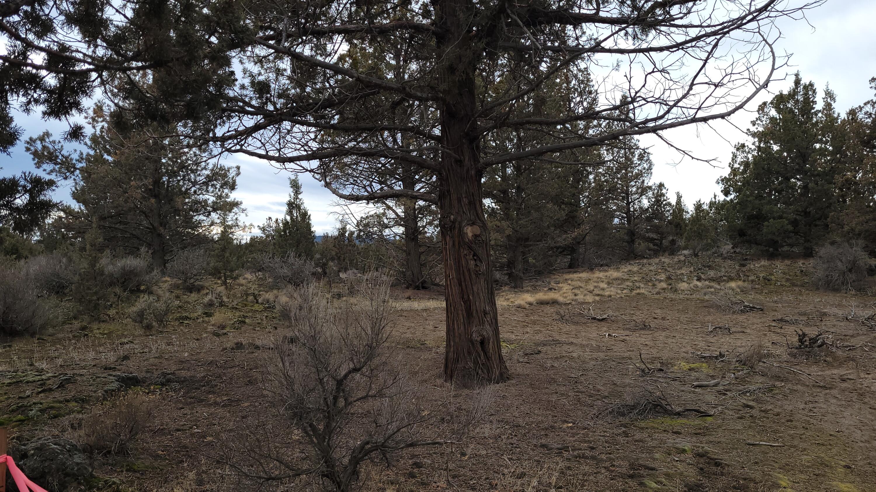 Tbd-tracta Hunnell Road Bend, OR 97703 - Photo 4 of 7 20231228_112601