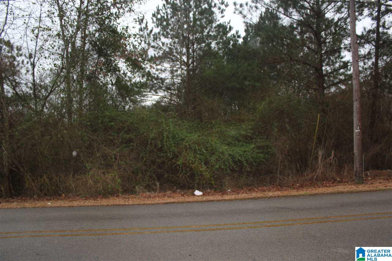 0 Jamback Road, Unit 3 Oxford, AL 36203 - Photo 3 of 7