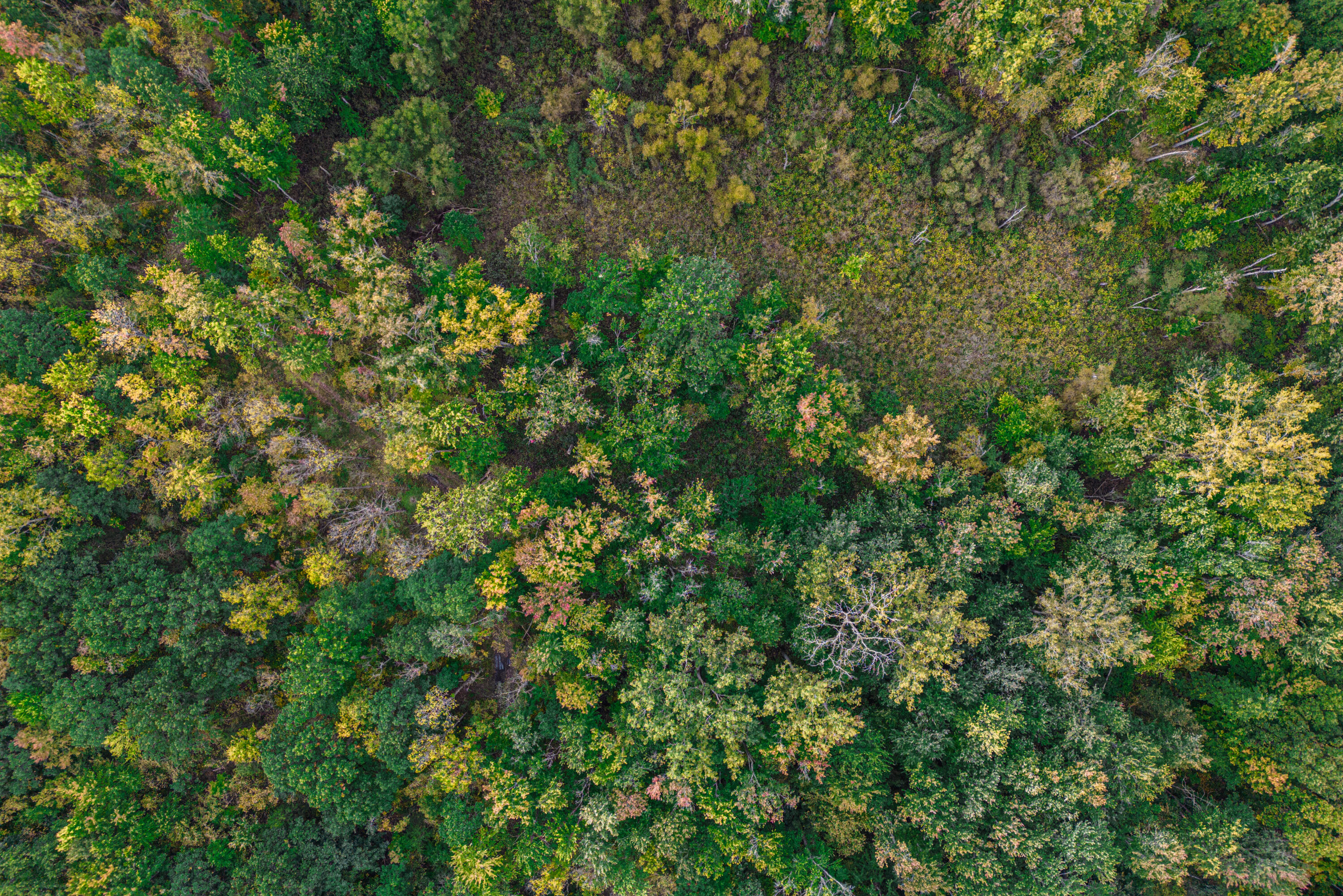 0 Macon Road Saline, MI 48176 - Photo 15 of 48 02423127025_5