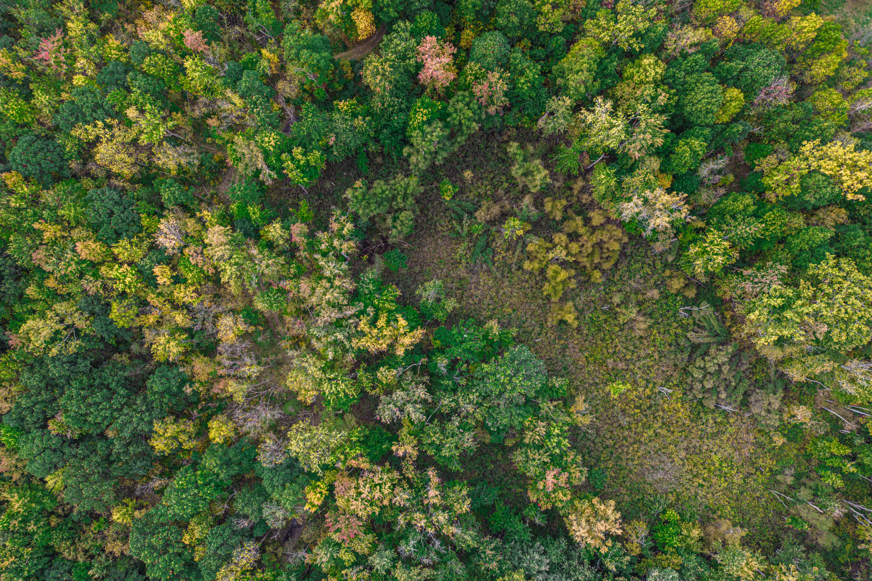 0 Macon Road Saline, MI 48176 - Photo 16 of 48 02623127025_6