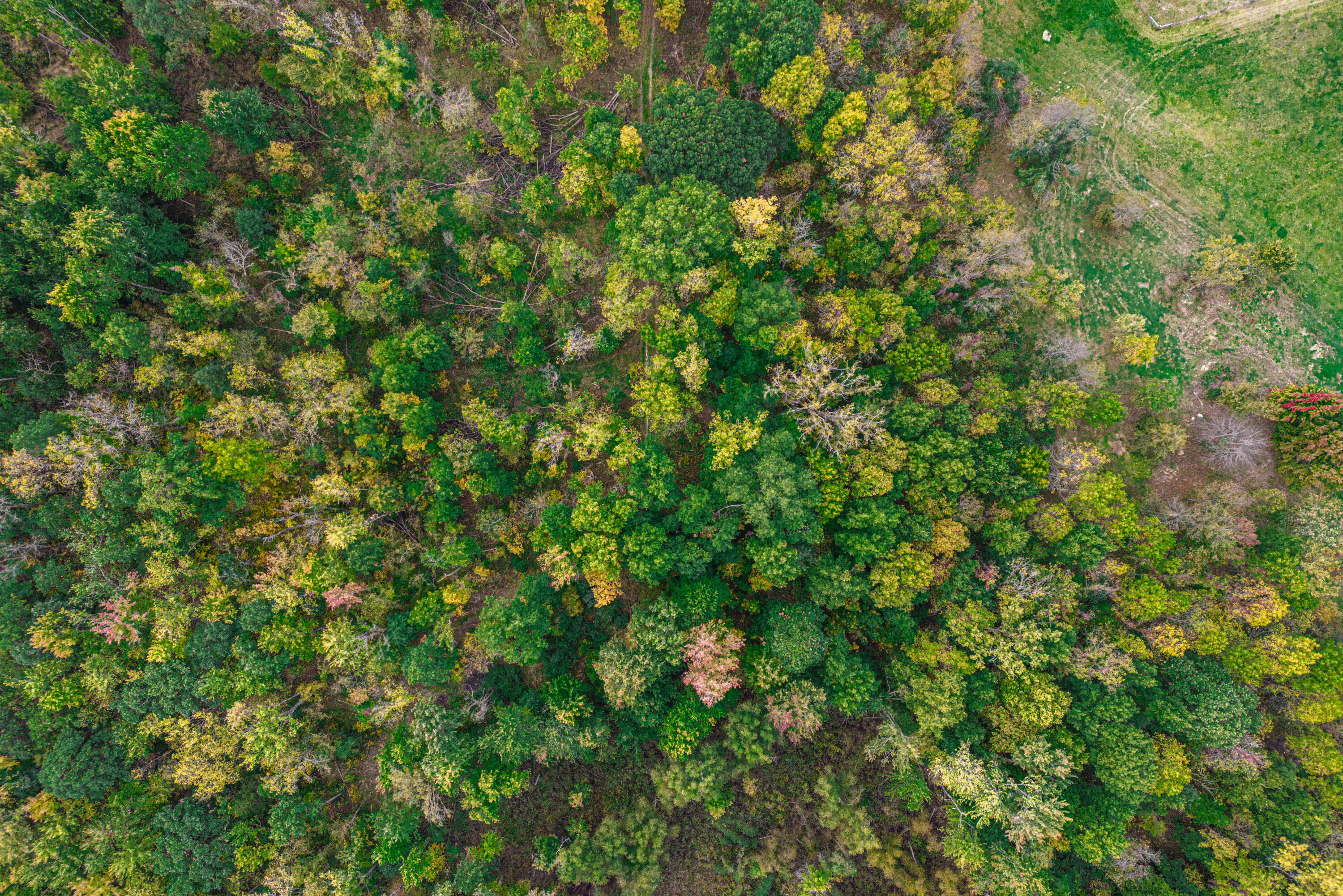 0 Macon Road Saline, MI 48176 - Photo 17 of 48 02823127025_7