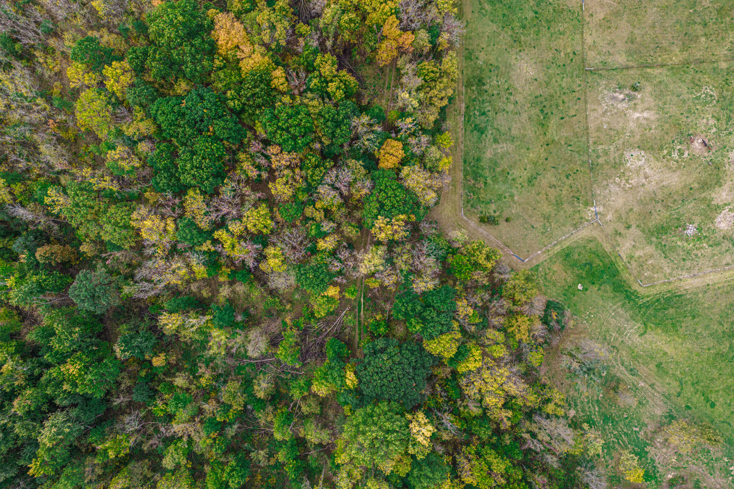 0 Macon Road Saline, MI 48176 - Photo 18 of 48 02923127025_8