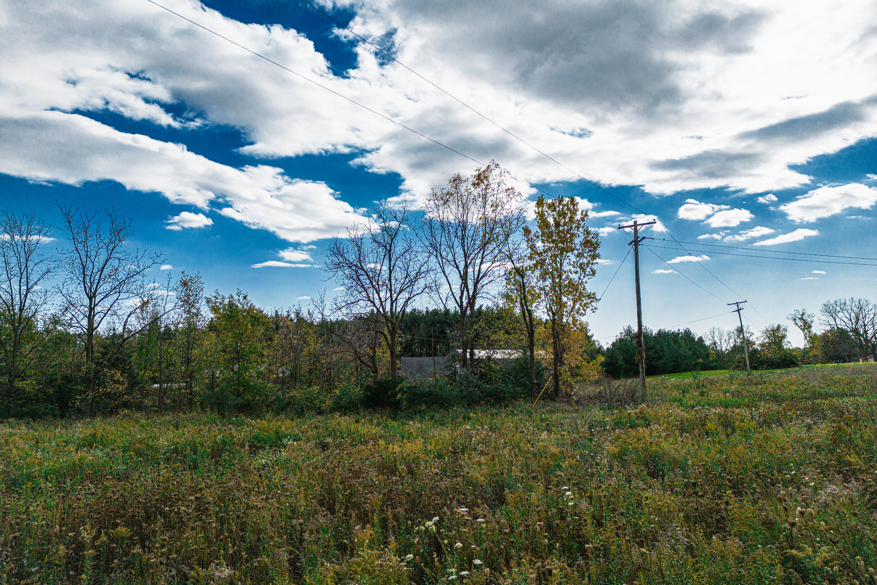 0 Macon Road Saline, MI 48176 - Photo 25 of 48 03523127025_15