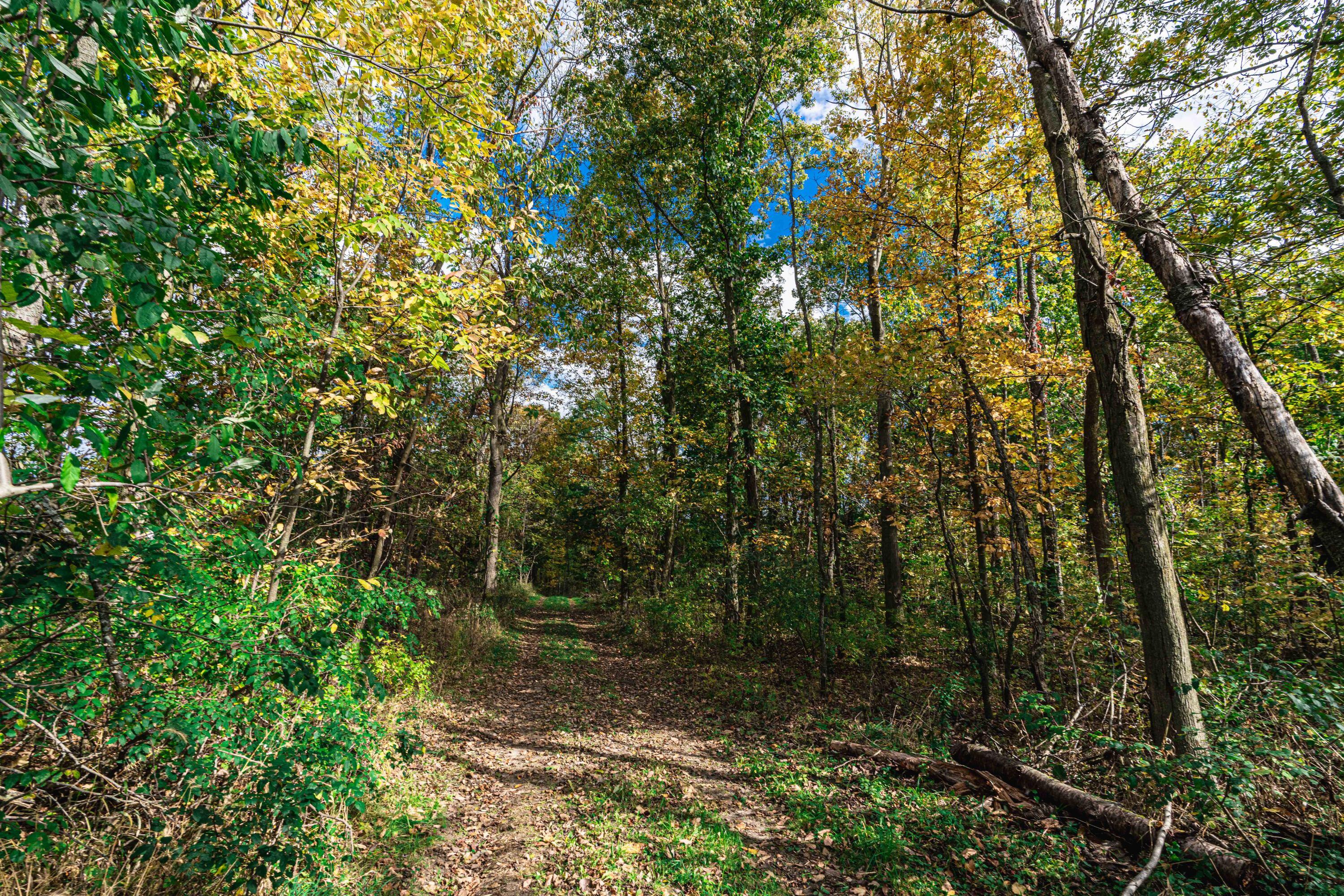 0 Macon Road Saline, MI 48176 - Photo 30 of 47 00623127025_32