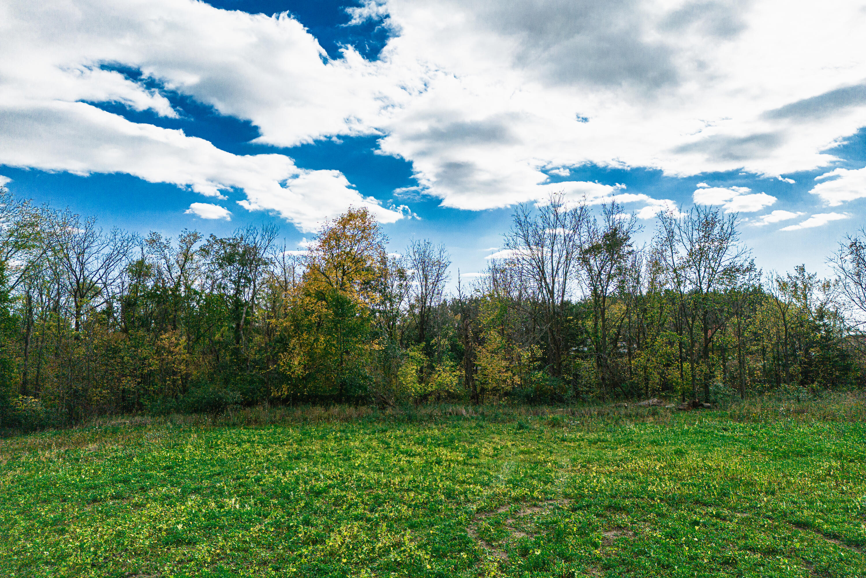 0 Macon Road Saline, MI 48176 - Photo 3 of 47 04123127025_19