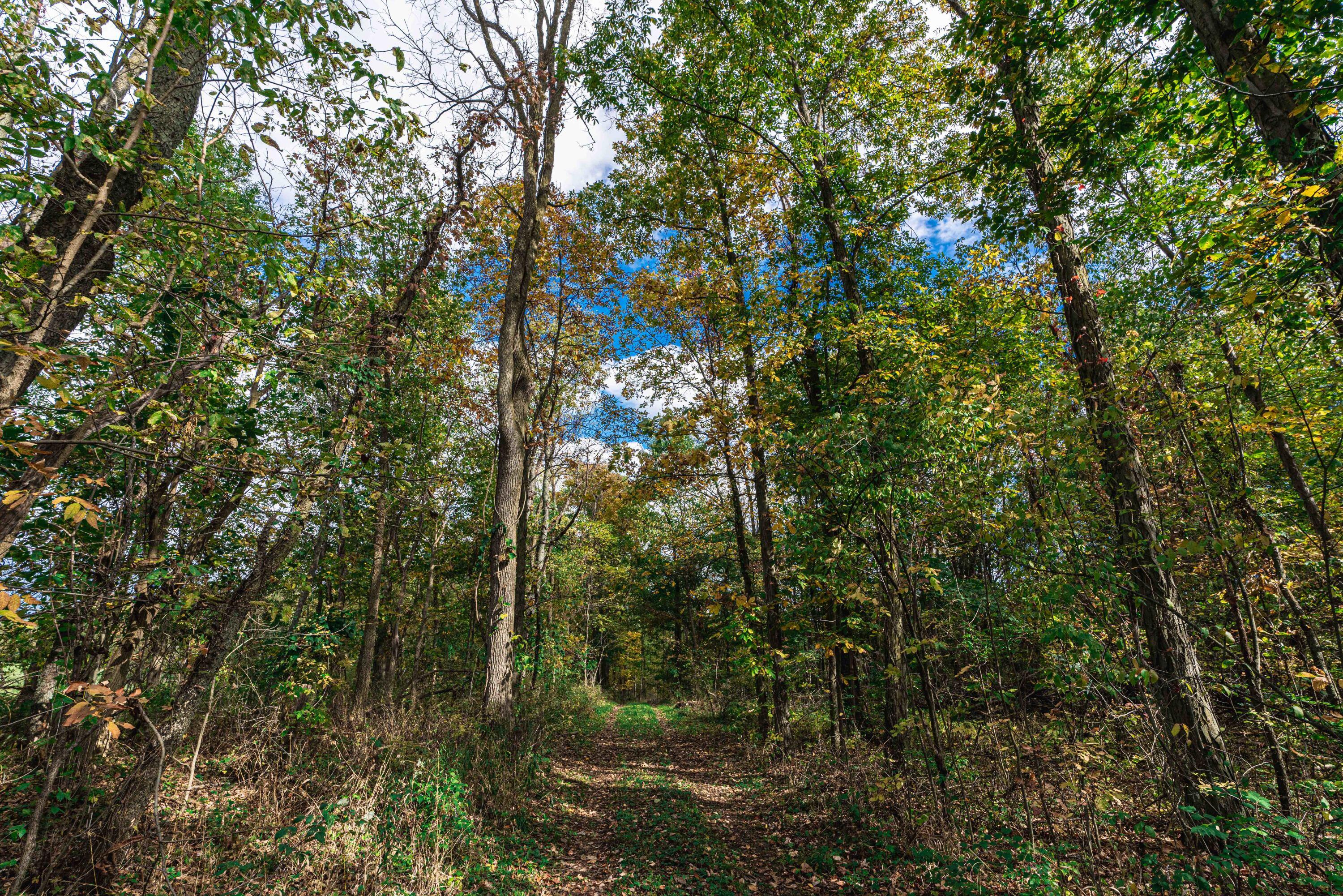 0 Macon Road Saline, MI 48176 - Photo 38 of 48 01123127025_34