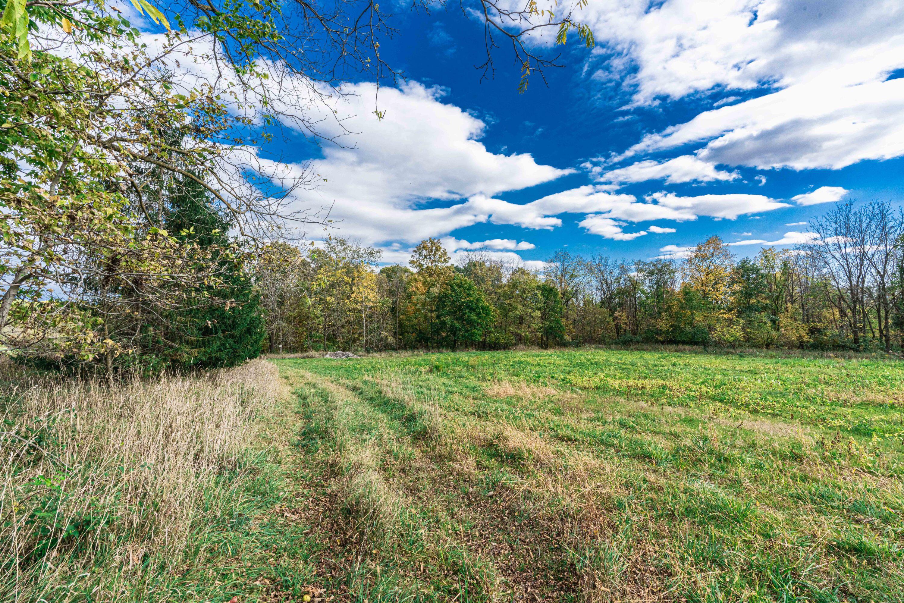 0 Macon Road Saline, MI 48176 - Photo 38 of 47 00223127025_39