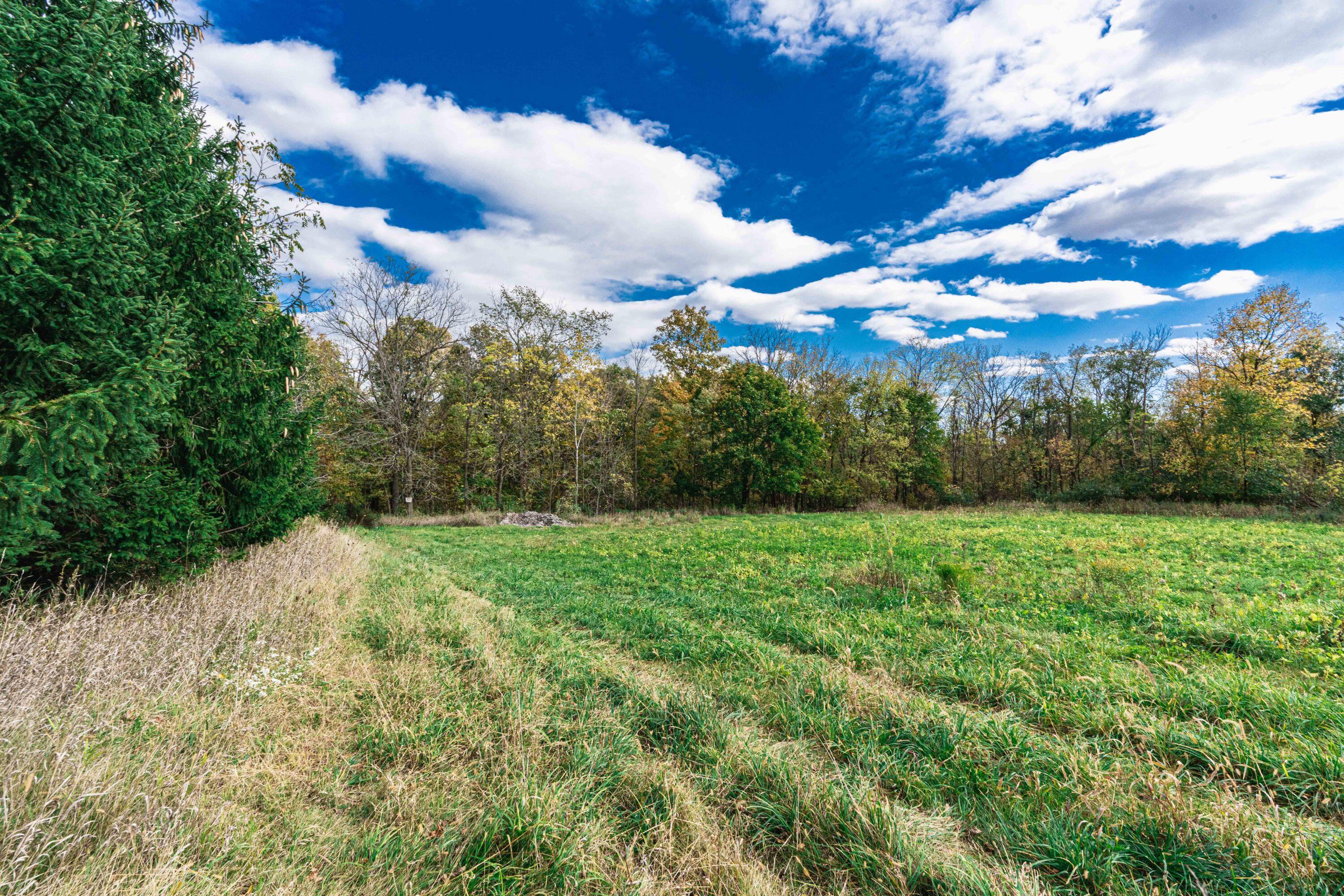 0 Macon Road Saline, MI 48176 - Photo 41 of 48 00523127025_40