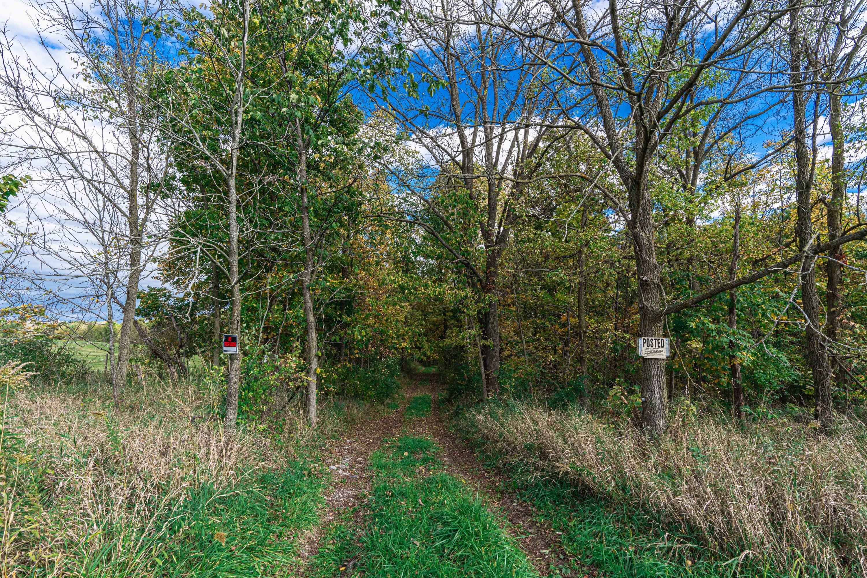 0 Macon Road Saline, MI 48176 - Photo 42 of 48 00823127025_41