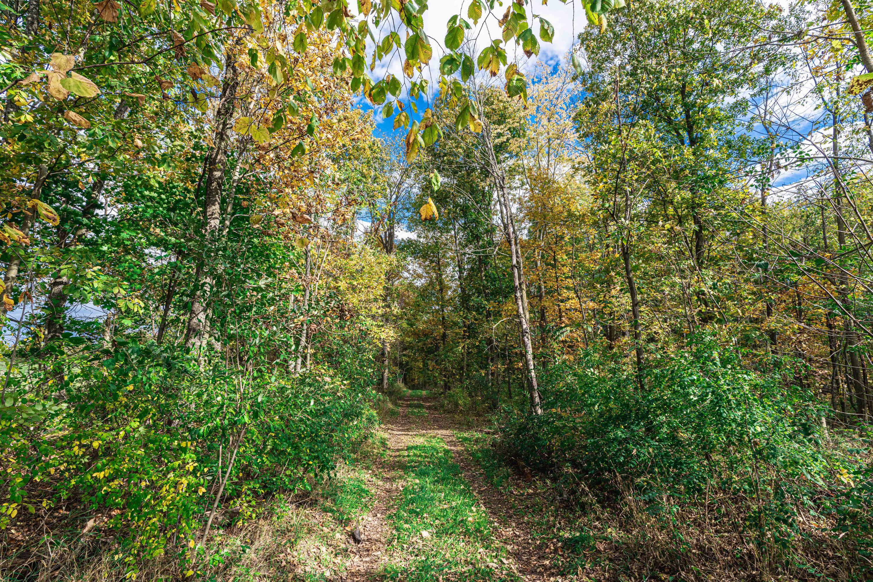 0 Macon Road Saline, MI 48176 - Photo 44 of 48 00923127025_43