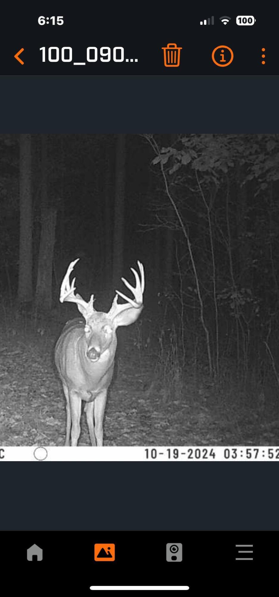 0 Macon Road Saline, MI 48176 - Photo 45 of 47 IMG_4472