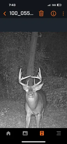 $409,000 | 0 Macon Road, Saline, MI 48176