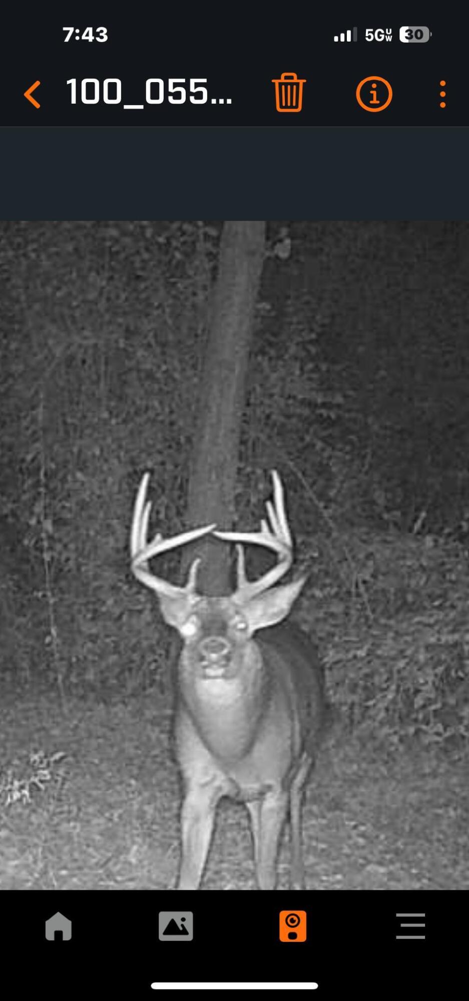 0 Macon Road Saline, MI 48176 - Photo 47 of 48 IMG_4596