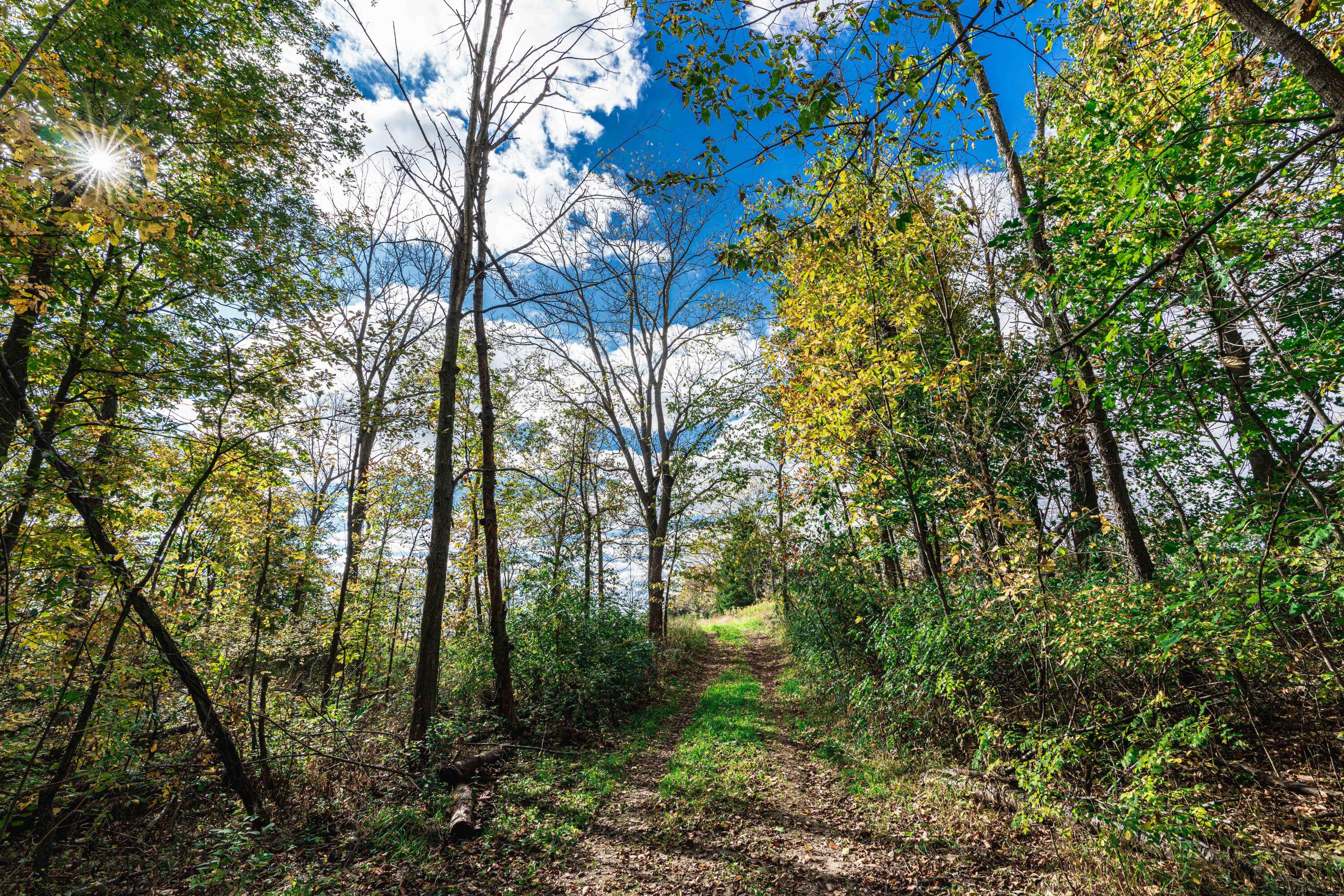 0 Macon Road Saline, MI 48176 - Photo 6 of 48 01223127025_35