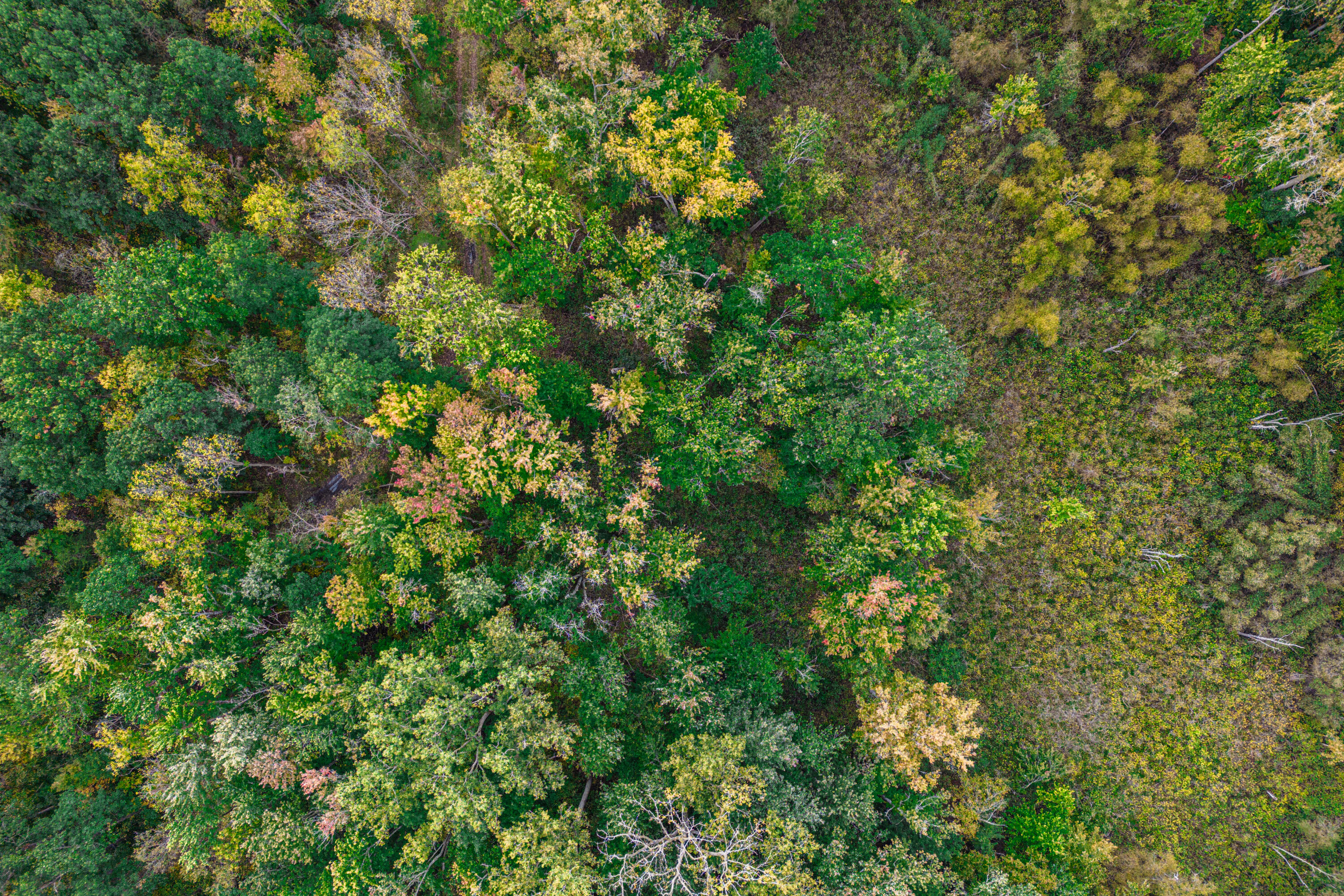 0 Macon Road Saline, MI 48176 - Photo 7 of 47 02723127025_4