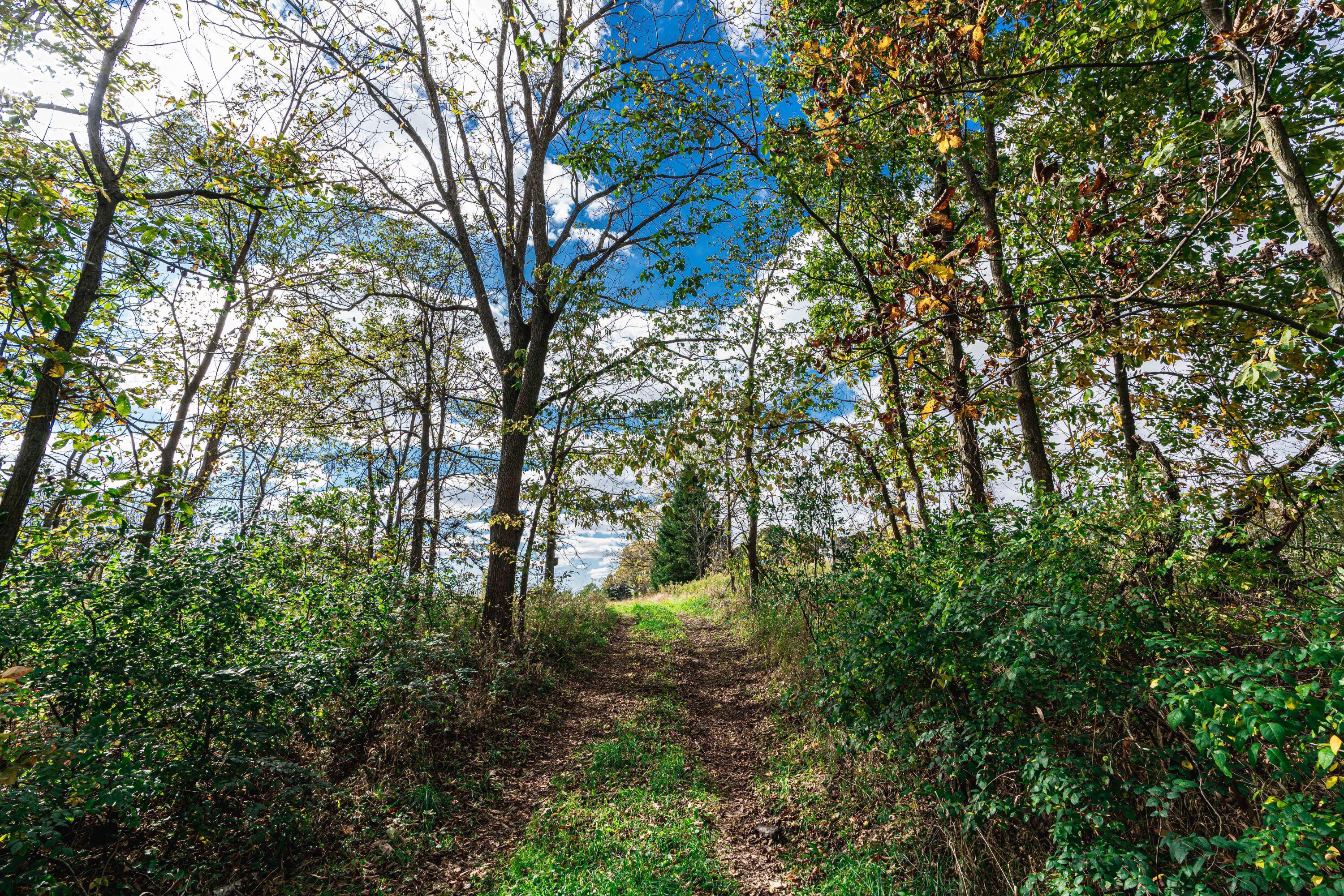 0 Macon Road Saline, MI 48176 - Photo 8 of 48 01023127025_33