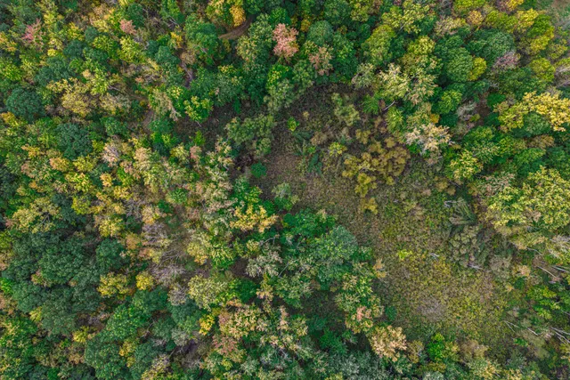 $409,000 | 0 Macon Road, Saline, MI 48176