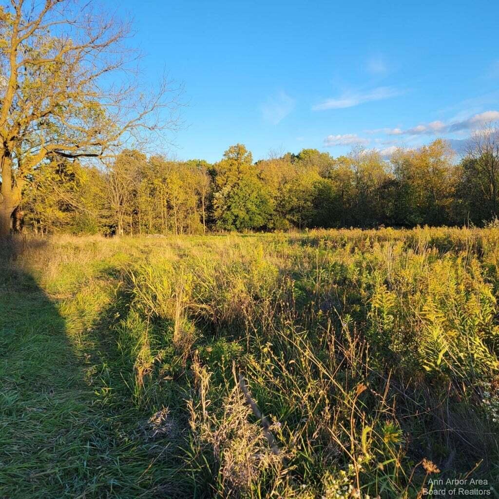 0 Macon Road Saline, MI 48176 - Photo 10 of 48 20240820164840751273000000-o