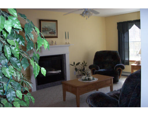 511 Woods Road Barre, MA 01068 - Photo 3 of 6 a living room with furniture potted plant a fireplace and a window