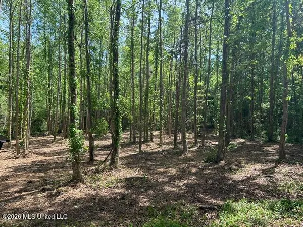 $52,500 | 3 Stovall Lane, Summit, MS 39666