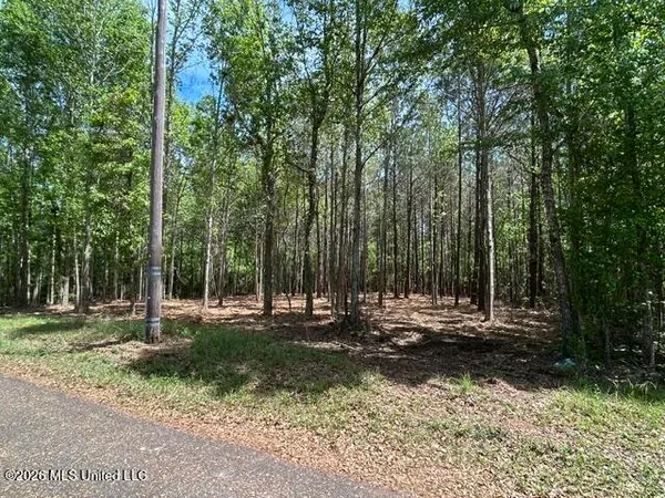 $52,500 | 3 Stovall Lane, Summit, MS 39666