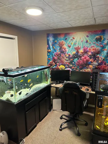 $137,000 | 401 North Division Street, Unit A & B, Du Quoin, IL 62832