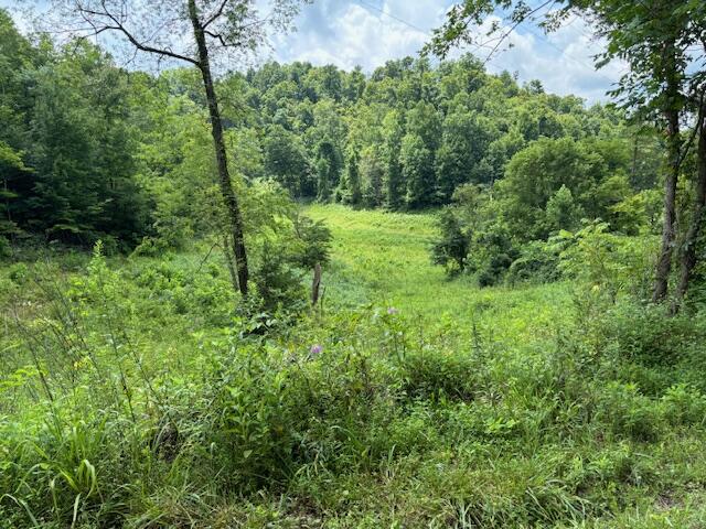 1 Mayers Road Booneville, KY 41314 - Photo 9 of 13 7