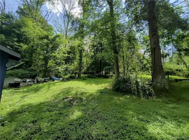 a view of a field with trees